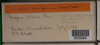 Image Associated With the Occurrence